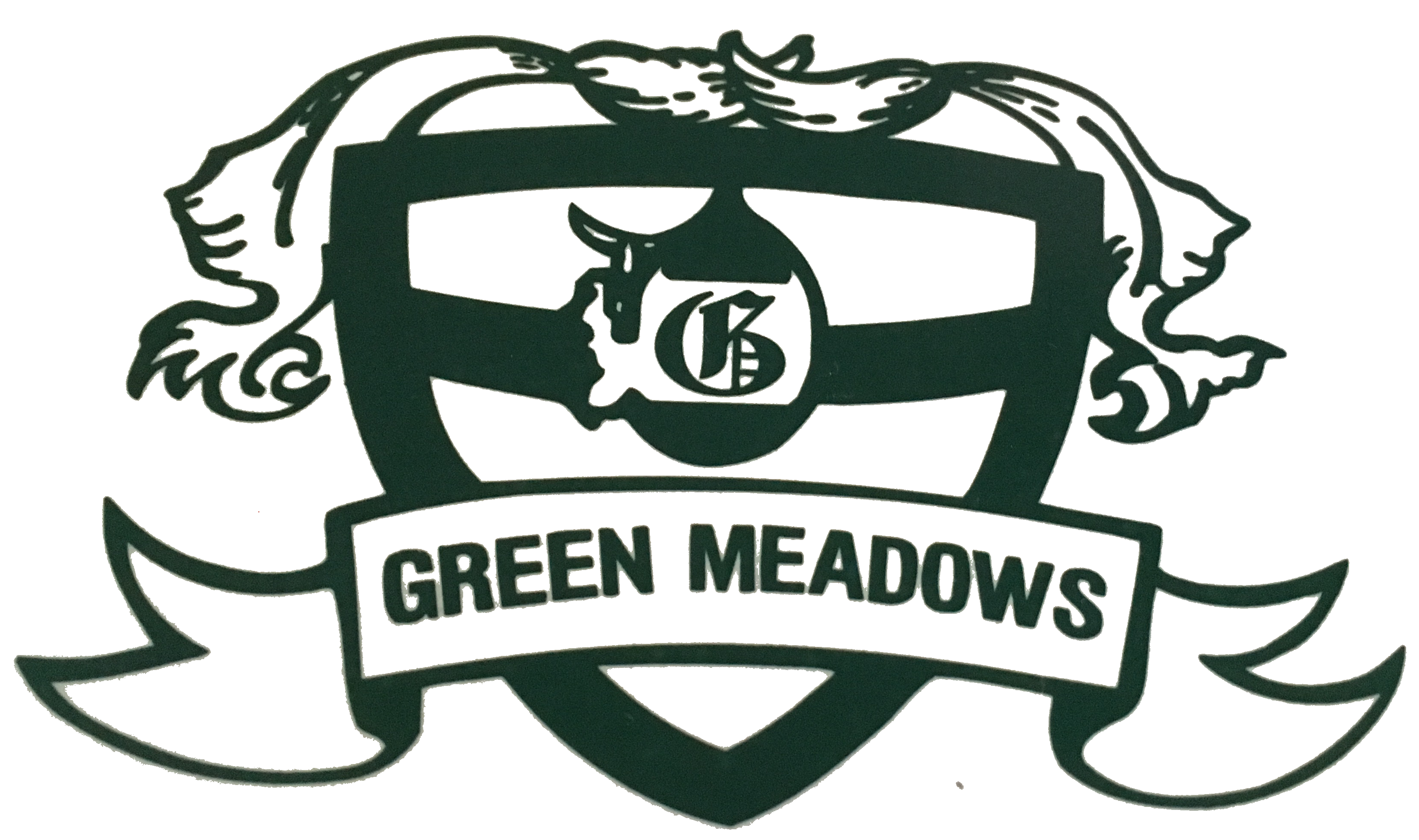 Big Logo